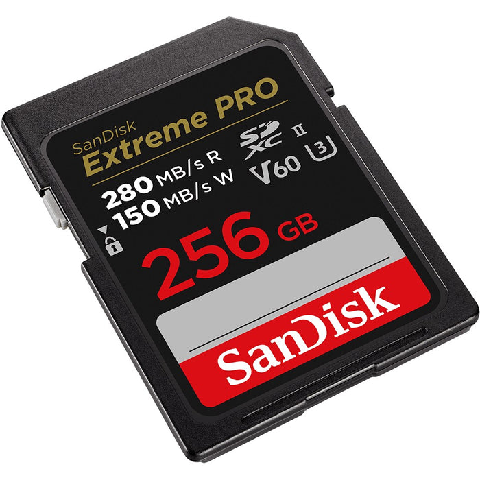 SanDisk SDSDXEP-256G-GN4IN memory card