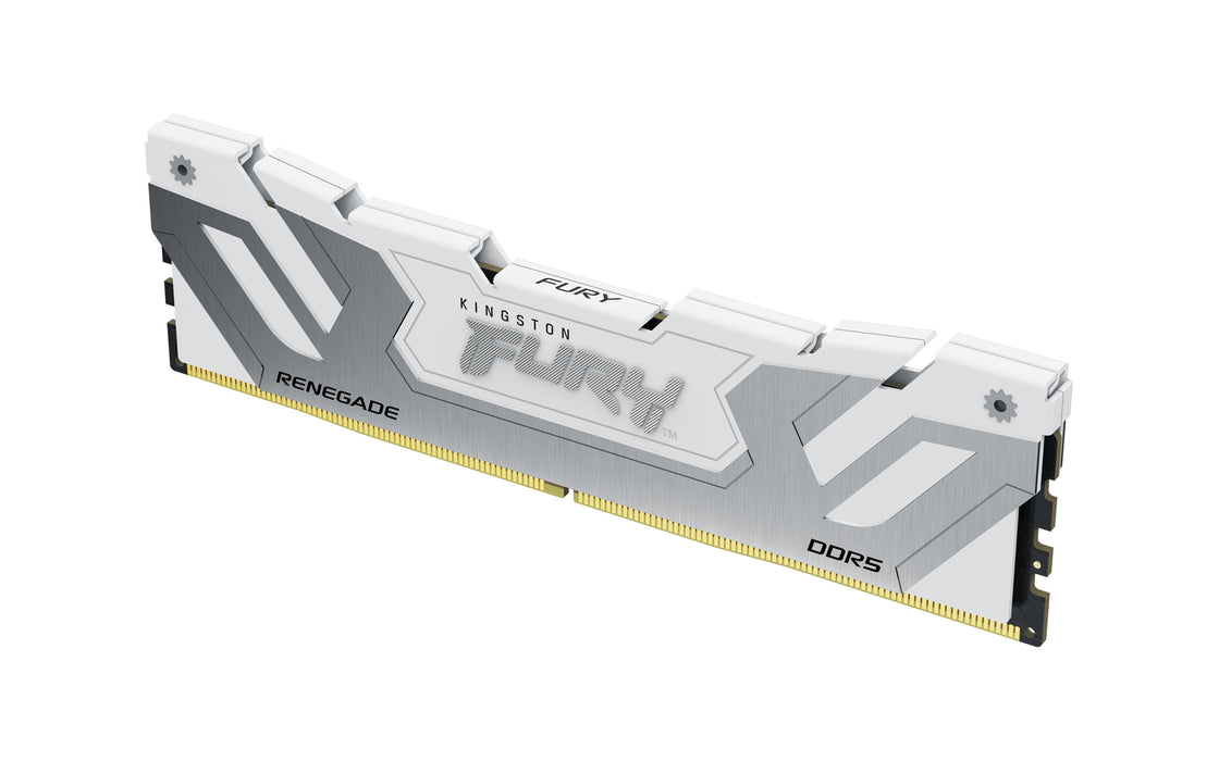 Kingston Technology FURY Renegade memory module