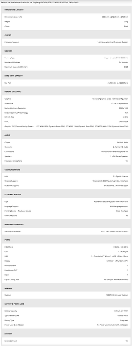 INTEL GAMING - GAMEFORCE 17.3" INTEL CORE I9 GAMING LAPTOP WITH NVIDIA GeFORCE RTX4060