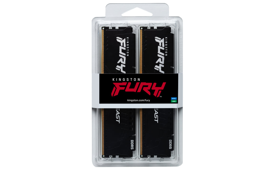 Kingston Technology FURY Beast memory module